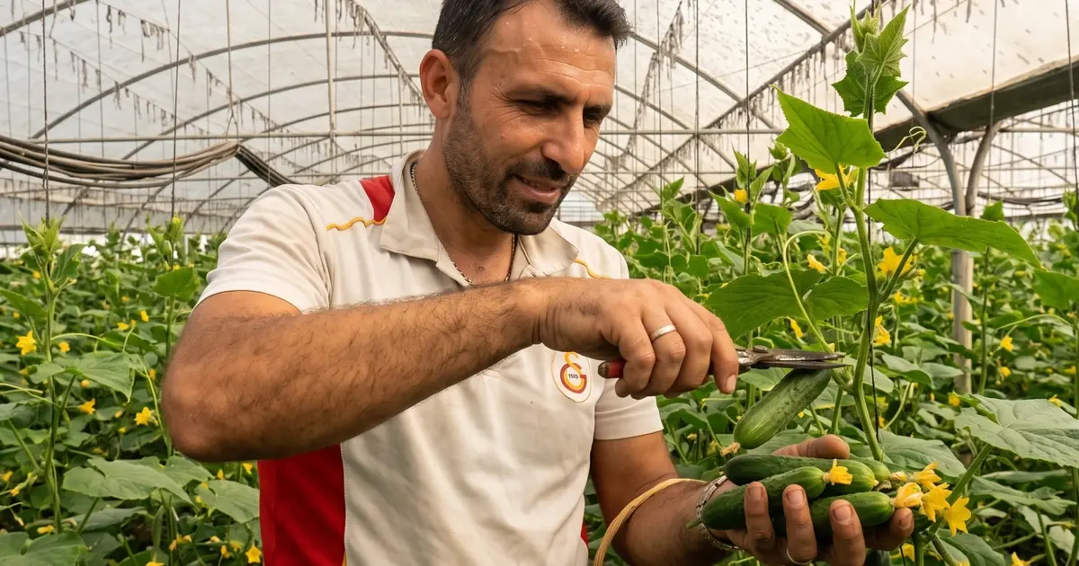Çiftçiler desteklemelerden mutlu