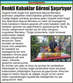 Renkli-Kabaklar-Göreni-Şaşırtıyor