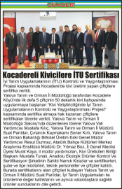 Kocadereli-Kivicilere-İTU-Sertifikası