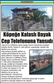 Köpeğe-Kalaslı-Dayak-Cep-Telefonuna-Yansıdı