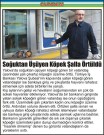 Soğuktan-Üşüyen-Köpek-Şalla-Örtüldü