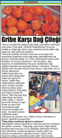 Gribe-Karşı-Dağ-Çileği