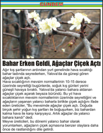 Bahar-Erken-Geldi,-Ağaçlar-Çiçek-Açtı
