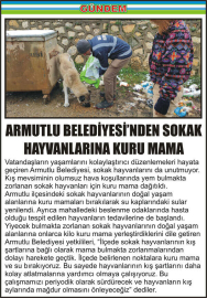 ARMUTLU-BELEDİYESİ’NDEN-SOKAK-HAYVANLARINA-KURU-MAMA