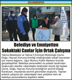 Belediye-ve-Emniyetten-Sokaktaki-Canlar-İçin-Ortak-Çalışma