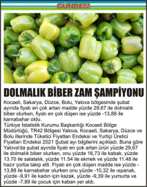 DOLMALIK-BİBER-ZAM-ŞAMPİYONU