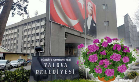 YALOVA BELEDİYESİ ÇİÇEK SATIN ALACAK