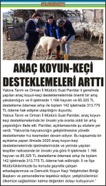 ANAÇ_KOYUN-KEÇİ_DESTEKLEMELERİ_ARTTI