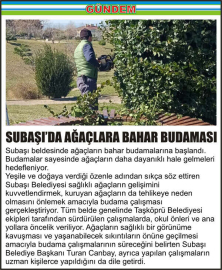 SUBAŞI’DA-AĞAÇLARA-BAHAR-BUDAMASI