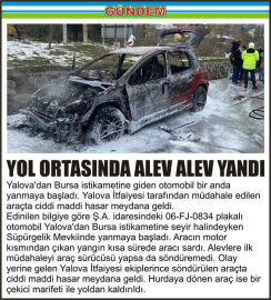 YOL_ORTASINDA_ALEV_ALEV_YANDI