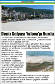 Deniz-Salyası-Yalova’yı-Vurdu