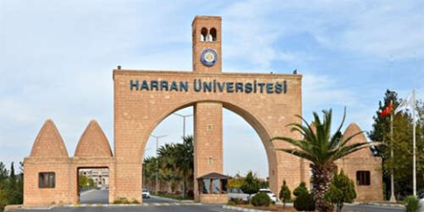 Harran Üniversitesi 60 sözleşmeli personel alıyor