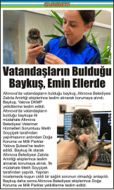 Vatandaşların-Bulduğu-Baykuş,-Emin-Ellerde
