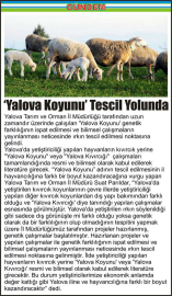 ‘Yalova_Koyunu’_Tescil_Yolunda