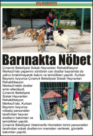 Barınakta-Nöbet