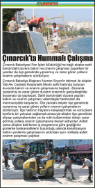 Çınarcık’ta-Hummalı-Çalışma