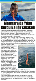 Marmara’da_Yılan_Kurdu_Balığı_Yakaladı