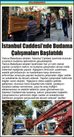 İstanbul-Caddesi’nde-Budama-Çalışmaları-Başlatıldı
