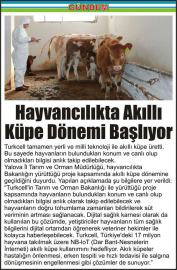 Hayvancılıkta-Akıllı-Küpe-Dönemi-Başlıyor