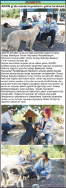 AKKİM grubu sokak hayvanlarını yalnız bırakmadı