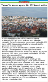 Yalova’da kasım ayında bin 152 konut satıldı