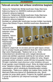 Yalovalı arıcılar bal sirkesi üretimine başladı