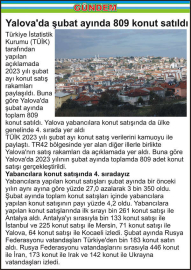 Yalova’da şubat ayında 809 konut satıldı