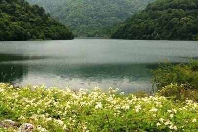 Yalova Yeni Tabiat Parkına Kavuştu