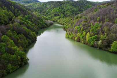 Ortaburun Tabiat Parkı baharla birlikte rengarenk oldu