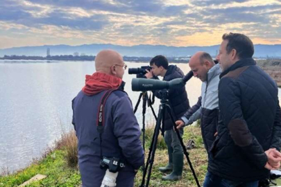 Hersek’te Şah kartalı ile tür sayısı 253 oldu