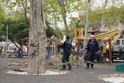 Gazipaşa Caddesi’nde yoğun çalışma var!