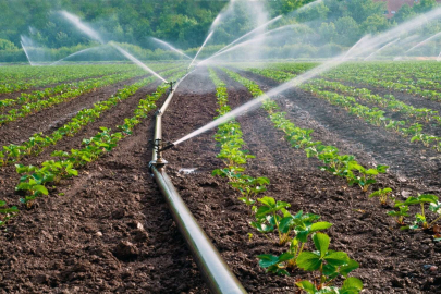 Çiftçilere Su Kullanım Hizmet Bedeli Desteği Yapılacak