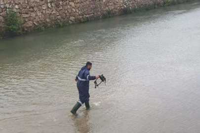 Dere Kenarındaki Aydınlatma Lambaları Kırıldı