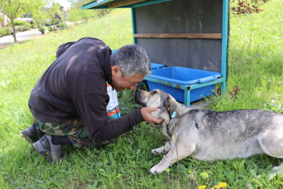 Subaşı Belediyesi Sokak Hayvanlarını Unutmuyor