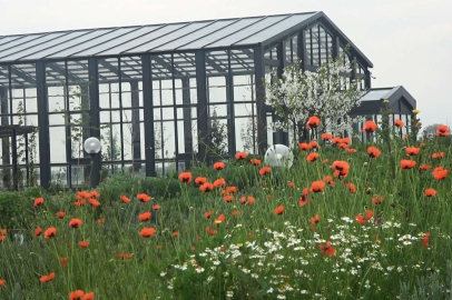 Tıbbi ve Aromatik Bitkiler Bahçesi şifa merkezine dönüyor