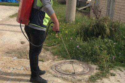Mahalle mahalle ilaçlama çalışmaları devam ediyor
