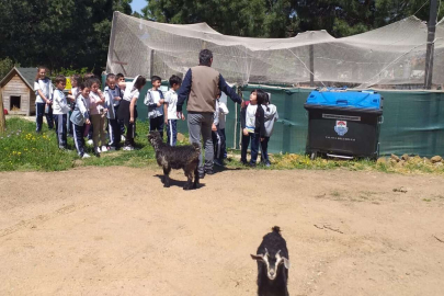 ÇINARCIK’TA ÖĞRENCİLER DOĞAYLA BULUŞTU