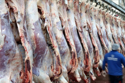 Kırmızı et üretimi rekor kırdı