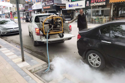 Çınarcık’ta yaz sezonu öncesi haşere ile mücadele