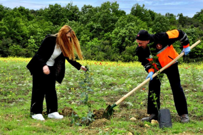 Yalova Kent Konseyi’nden Geleceğe Nefes Etkinliği