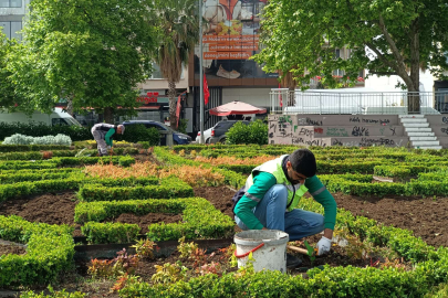 Mevsimlik çiçeklerle Yalova rengârenk olacak
