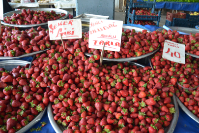“MAZOT 20, NAKLİYE 30, ÇİLEK 40 TL”