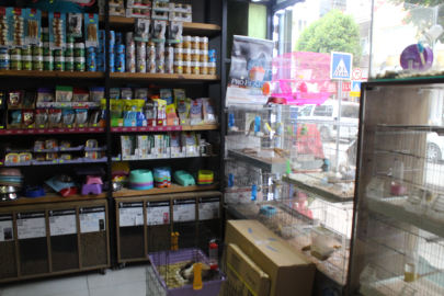 Meral: “Yem ve mama fiyatları çok yüksek”