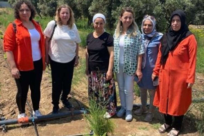 Araştırma Enstitüsünden Efeler Diyarında Proje