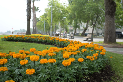 Gazipaşa Caddesi rengarenk oldu