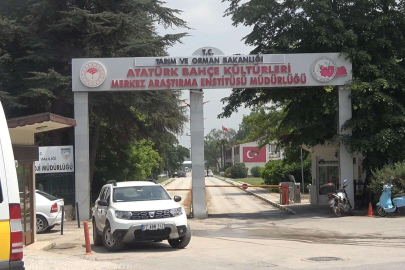 Araştırma Enstitüsünde korkutan yangın