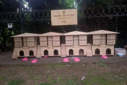 Yalova Belediyesi’nden sokak hayvanlarına estetik barınak