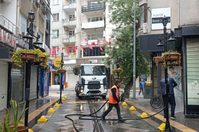 Caddeler, sokaklar ve parklarda  peyzaj ve temizlik çalışması