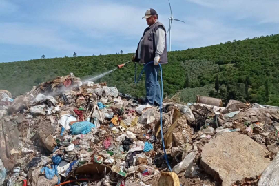 Armutlu’da larva ilaçlaması