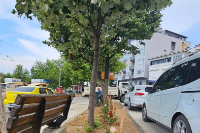 Esenköy Belediyesi Çalışıyor